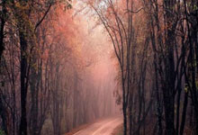 股票配资股票户网:什么app可以看股票-全球市场：欧美股市收跌 纳指跌近1% 国际金价续创历史新高